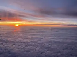 60882CF6-847F-4491-BDDD-14957D13AB87.webp