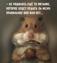 IMG-20221216-WA0020.webp