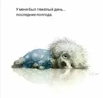 8123beebe47e9427f82668eadf3d8ee7.webp