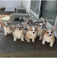 1557770951157622918.webp