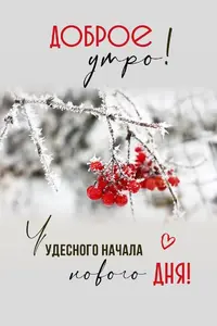1a575f58d9bcbe4f904c923d5f3ce2eb.webp