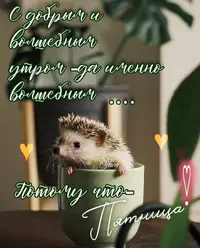 c654cbf628e4bf438467e34401c1c17d.webp