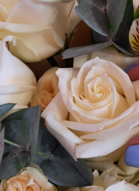 94633_Gallery.webp