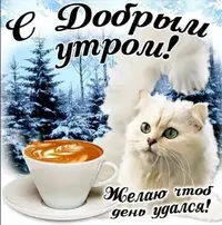 EC36B079-EE1A-4045-9B90-E261EAE21791.webp