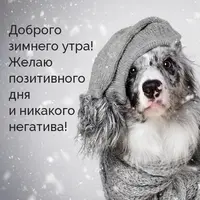 whatsapp-image-2021-01-27-at-16.15.50.webp