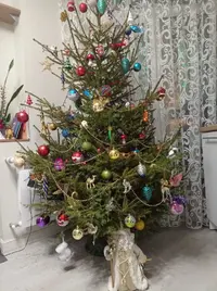 WhatsApp Image 2022-12-27 at 10.10.49.webp