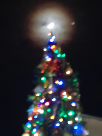3647_Gallery.webp