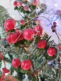 Screenshot_20221230_122703_com.android.gallery3d_edit_59857767938781.webp