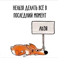 27019D1E-C7F4-4217-973D-BFB2B1495273.webp