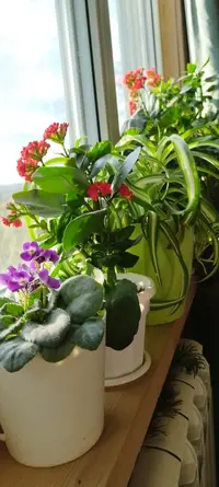 Screenshot_2022-12-31-09-35-12-447_com.miui.gallery.webp