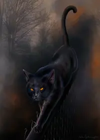 w_c324b816.webp