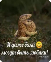 Screenshot_20230103-022440_Chrome.webp