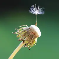 4718F8D0-C7BA-496B-B801-028A9FAB9FAA.webp