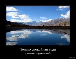 48366_original.webp