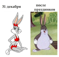 215957.webp