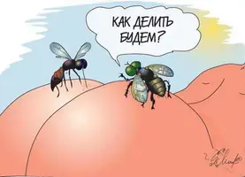 i (4).webp