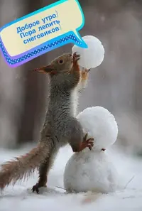 736F96FC-5D61-4BAD-BD3E-590691CCCE45.webp