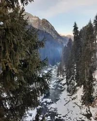 64420_Gallery.webp