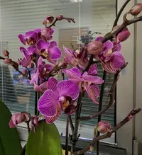 Screenshot_20230112-193243_Gallery.webp