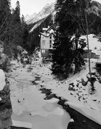 2937_Gallery.webp
