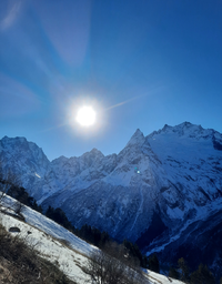 5915_Gallery.webp