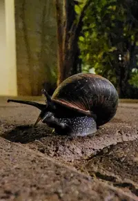 20230114_233339.webp