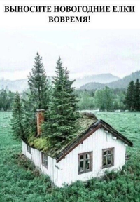1673964551901.webp