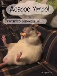 596f4f10490cf77002a3d9f6b6a4bfcc.webp