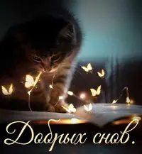 f252f477daa2e4bd442920dd708ee59f.webp