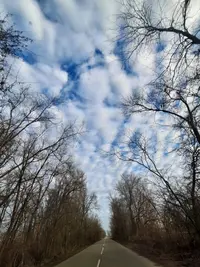 92631_Gallery.webp