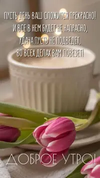 03b4acba0c50d24c09d52149940e47b4.webp