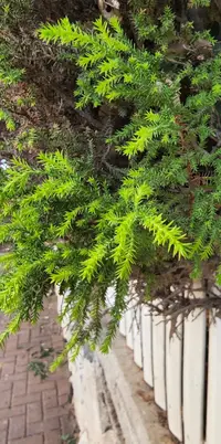 20230120_141040.webp