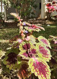 20230120_140854.webp