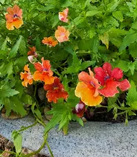 20230120_141223.webp