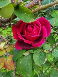 20230120_141545.webp