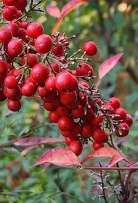 20230120_141836.webp