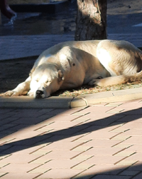 95836_Gallery.webp