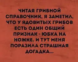 IMG-cf419147e580646753ab73ea8173041f-V.webp