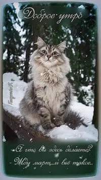 a9597ef0dd56f2720d6f03813ddf253a.webp