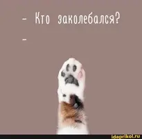 bd582349d8e83c2cb64c2e3da4c8445f.webp