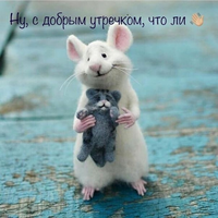 1675307869642.webp