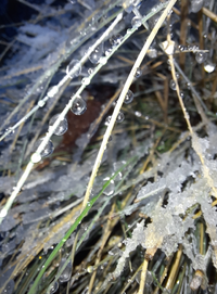 999457_Gallery.webp