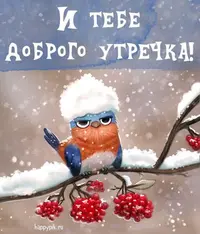33a420bdd8c431e432a1a80296d7c425.webp