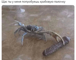 1675318205868.webp