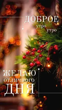 9e7d935987763996061c950d95559d54.webp