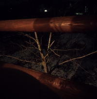 Screenshot_2023-02-03-20-19-36-382_com.miui.gallery-edit.webp