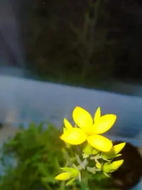 IMG20230205164913.webp