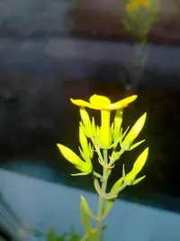 IMG20230205164905.webp