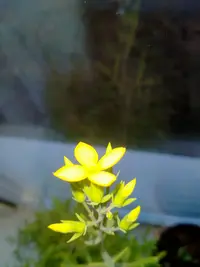 IMG20230205164837.webp