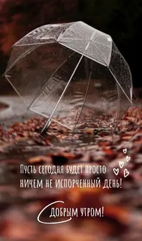 A5C8A7AE-4B7B-40E3-B7C1-93018ABD64FF.webp
